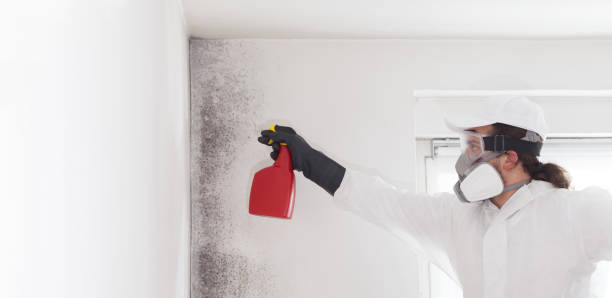 Best Residential Mold Removal  in Thurmont, MD